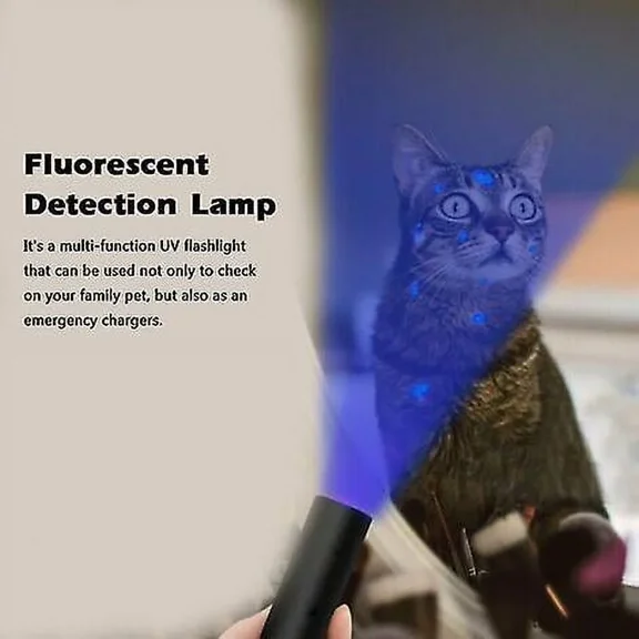 Lampe De Teigne Uv 365nm Lampe De Test De Champignon Lampe Lampe De Charge Usb Lampe Uv Lampe De Poche Dtection De Fluorescence Lampe De Teigne