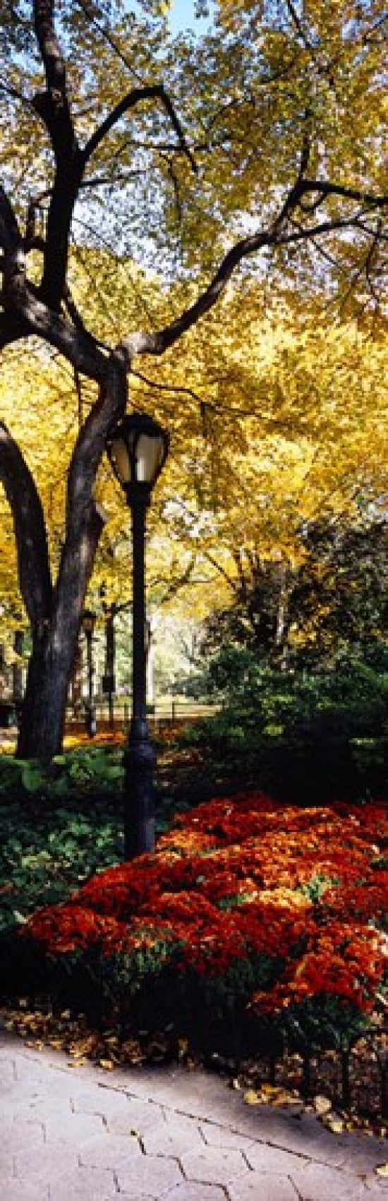 Lamppost in a park Central Park Manhattan New York City New York USA Canvas Art - Panoramic Images (36 x 12)