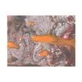 thumbnail image 1 of Lana Korolievskaia 'Orange Fish' Canvas Art, 1 of 3