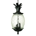 thumbnail image 1 of Lanai 3-Light Black Coral Hanging Light, 1 of 6