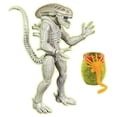 thumbnail image 1 of Lanard 7" Alien Figure - Xenomorph Drone, 1 of 3