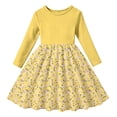 thumbnail image 1 of Lanbubble Toddler Girls Long Sleeve Dress A-Line Casual Play Dresses Size 5-6Y, 1 of 5