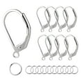 thumbnail image 1 of Lancharmed Silver Plated Hypoallergenic Earrings,Ear Hooks 8 Jump Rings 10Pcs Earring New Year Gifts, 1 of 7