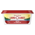 thumbnail image 1 of Land O Lakes Butter with Canola Oil, Spreadable, 8 oz Tub, 1 of 8