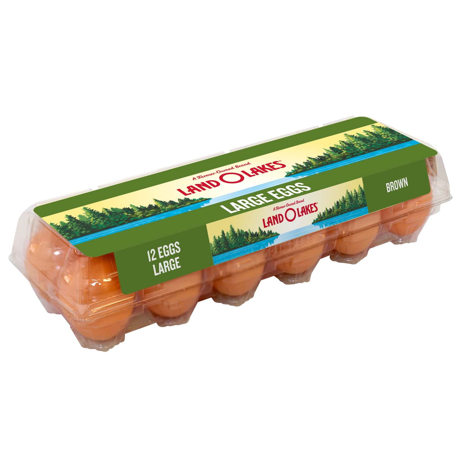 Land O' Lakes Farm Fresh Large Brown Grade AA Eggs, 12 Count