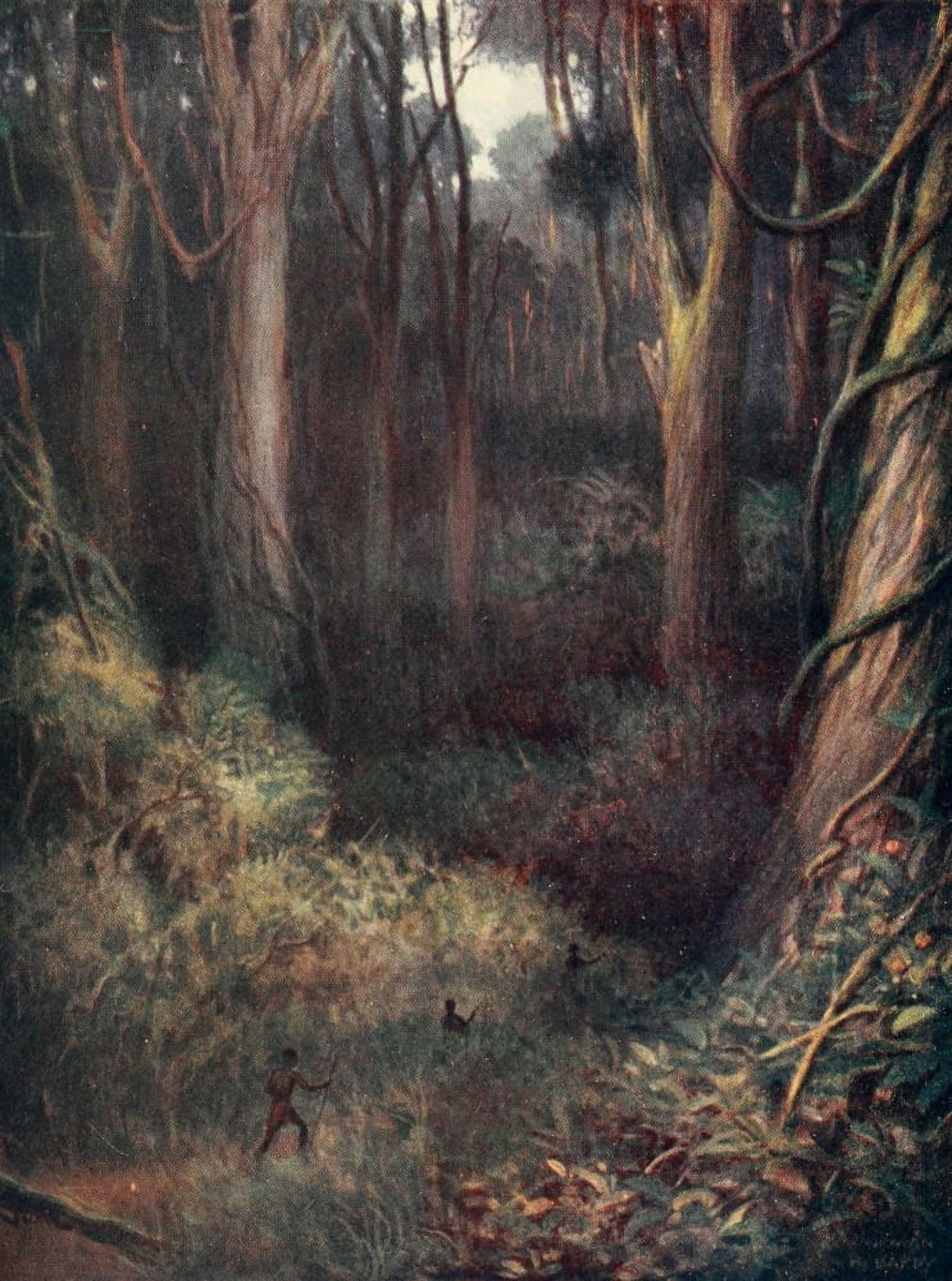Land & Peoples of the Kasai 1912 The Equatorial Forest Canvas Art - Norman H Hardy (24 x 36)
