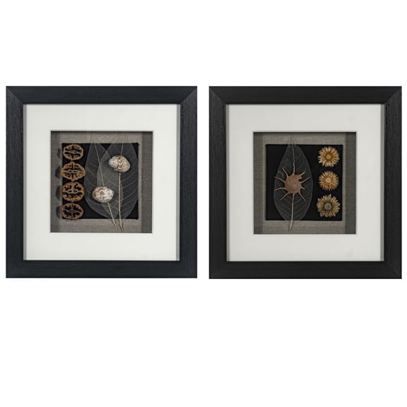 Land & Sea Shadow Box Wall Dcor (2 Piece Set)