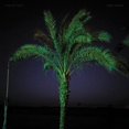 thumbnail image 1 of Land of Kush - Sand Enigma - Music & Performance - Vinyl, 1 of 2