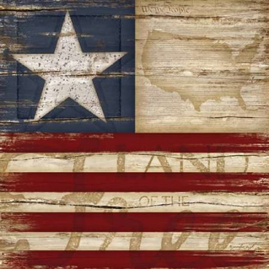Land of the Free Canvas Art - Jennifer Pugh (24 x 24)