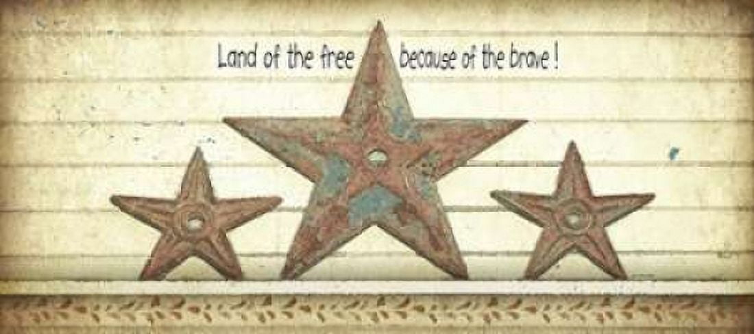Land of the Free Canvas Art - Jo Moulton (10 x 20)