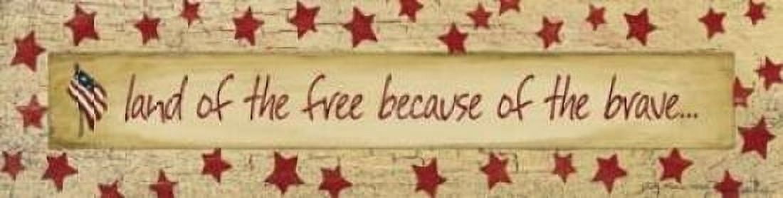 Land of the Free Canvas Art - Jo Moulton (12 x 36)