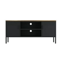 Landen Modern 47 TV Stand with 6 Fixed Shelves in Black