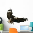 thumbnail image 1 of Landing Eagle Wall Decal Sticker by Wallmonkeys Vinyl Peel & Stick Graphic for Boys (24 in W x 18 in H), 1 of 4