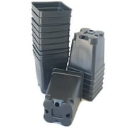 Landmark Plastic 2.5" x 2.5" x 3.5" Square Black Plastic Plant Pot with Drainage Holes, 50 Count