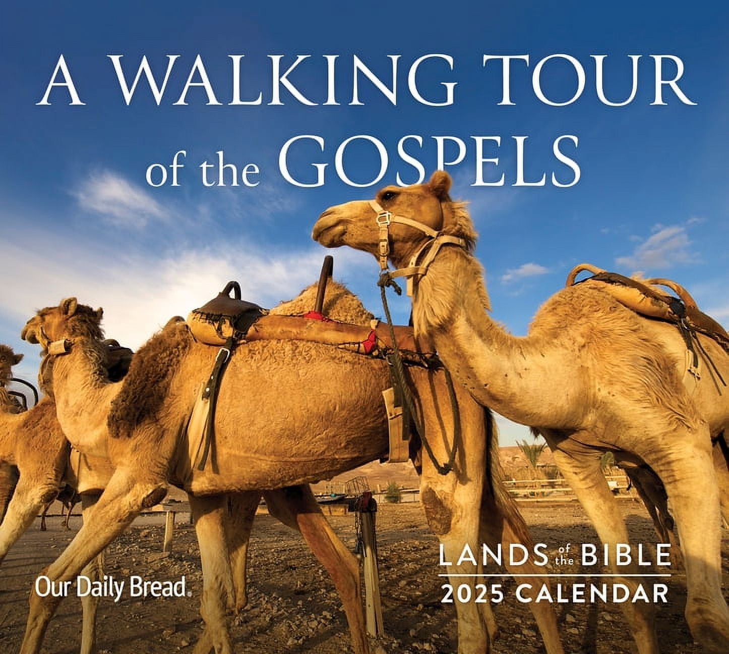 Lands of the Bible 2025 Wall Calendar A Walking Tour of the Gospels