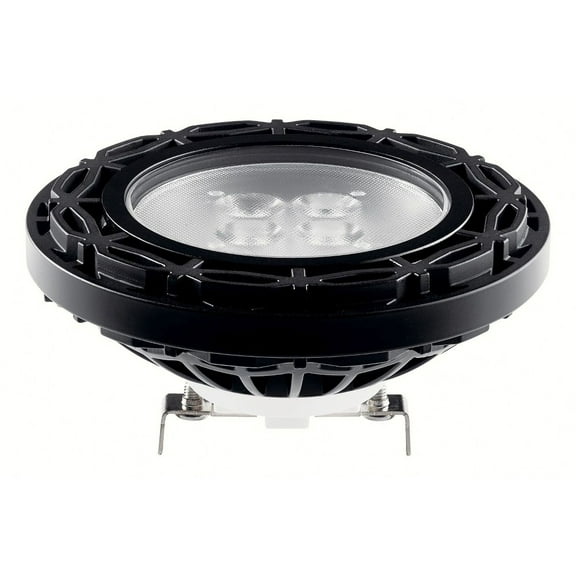 Landscape 6W ANSI 40 Degree 2700K LED Lamps in Black