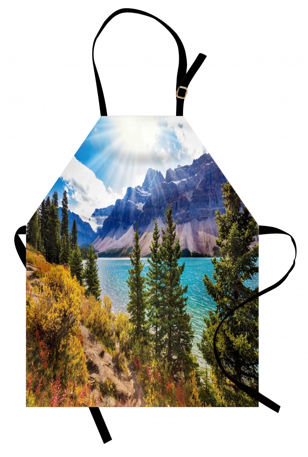 Landscape Apron National Park Banff Canadian Rockies Mountain Trees ...