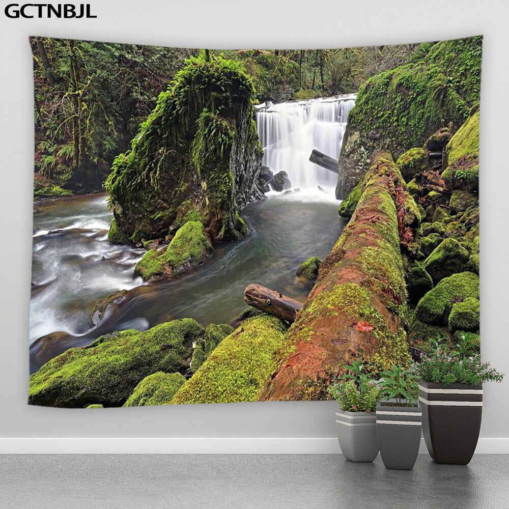 Landscape Big Tapestry Beautiful Natural Forest Tropical Rainforest