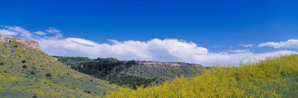 Landscape Buffalo Jump State Park Idaho USA Canvas Art - Panoramic Images (12 x 36)