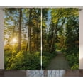 thumbnail image 1 of Ambesonne Nature Curtains 2 Panel Set, National Park Trees Path, 108" x 90", Blue Green, 1 of 3