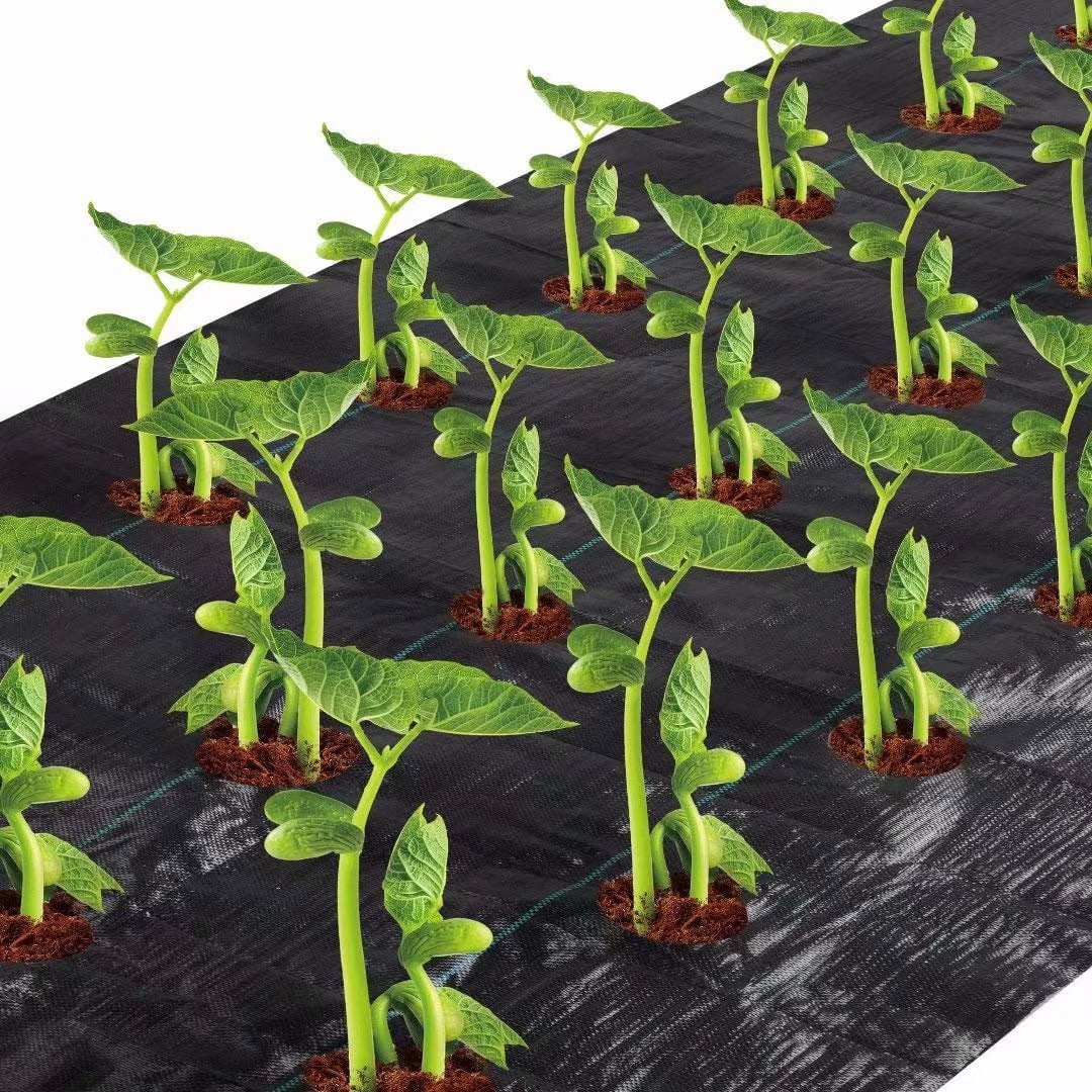 Landscape Fabric Weed Barrier 4 ft. x 25 ft. 3.0 oz. Ground Cover Garden Mats 3 Rows, Planting Hole, 3 in. Dia