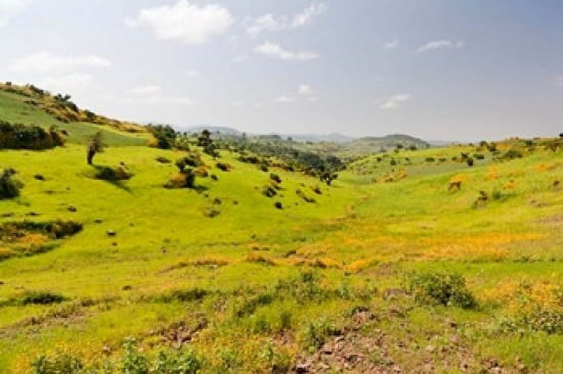 Landscape Gonder and Lake Tana Ethiopia Canvas Art - Martin Zwick DanitaDelimont (38 x 25)