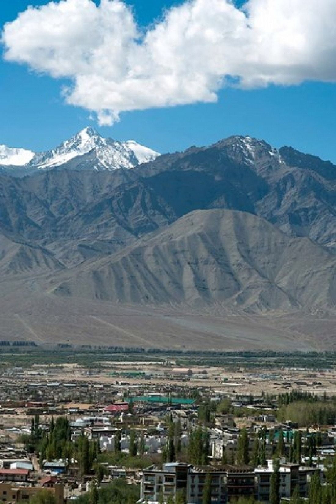 Landscape Indus Valley Leh Ladakh India Canvas Art - Anthony Asael DanitaDelimont (24 x 36)