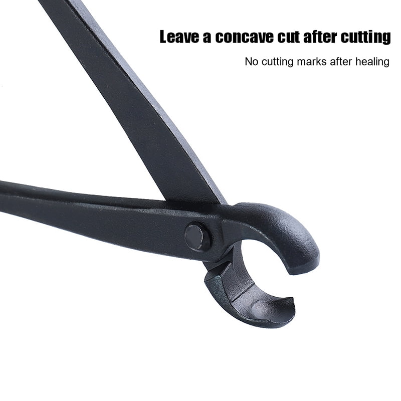 Landscape Modeling Garden Bonsai Tools 210mm Bonsai Knob Cutter Concave