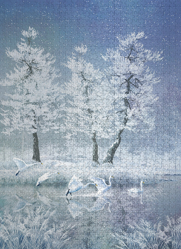 Landscape Nature Puzzle For Adult 500 Piece Swan Lake 500 Piece Puzzles ...