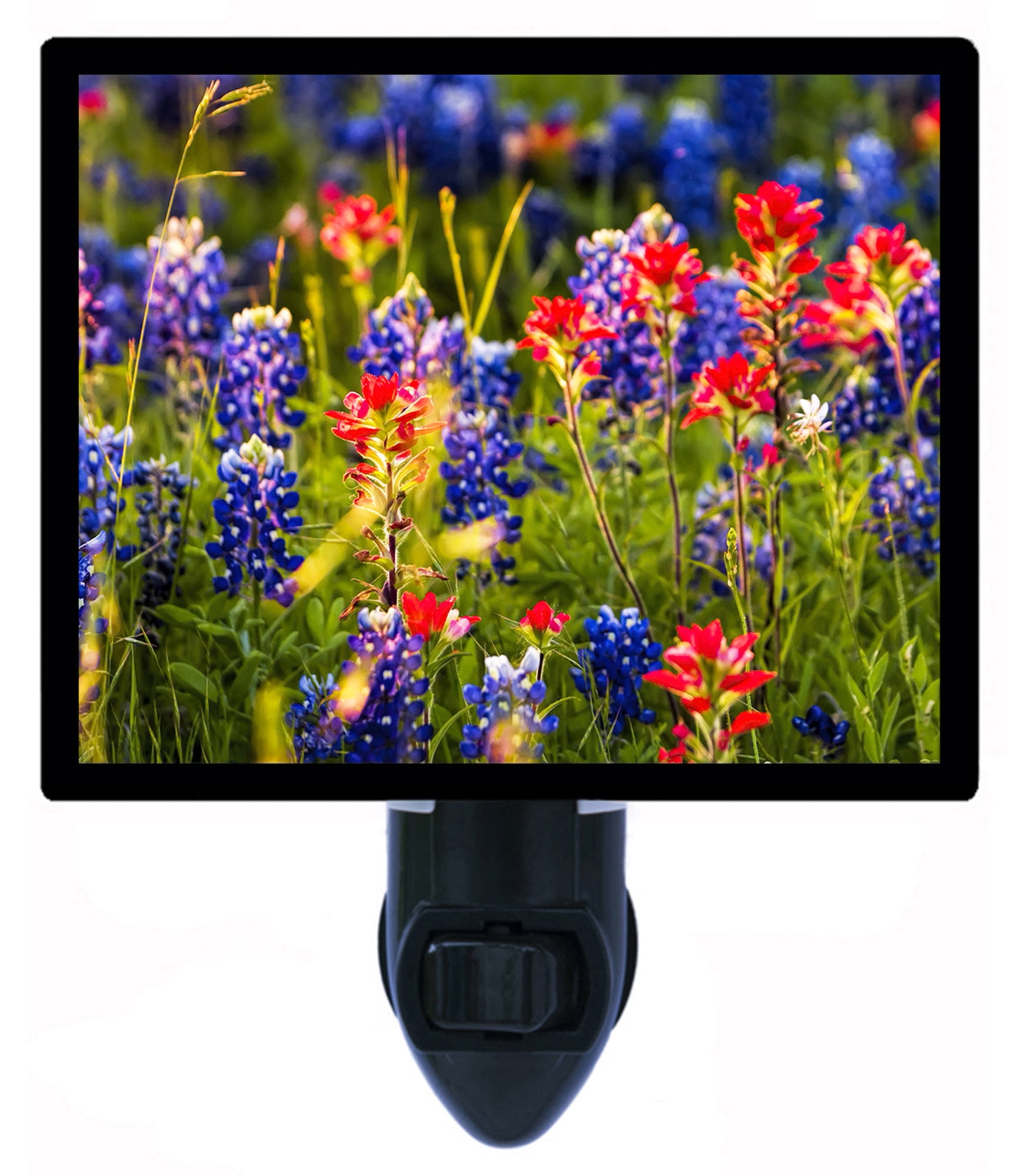 Night Light - Spring Wildflowers in Texas. | Landscape Theme, Includes Free Switchable Insert, 4W Bulb, E12 Base