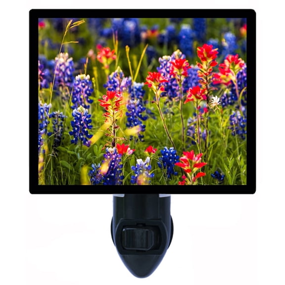 Night Light - Spring Wildflowers in Texas. | Landscape Theme, Includes Free Switchable Insert, 4W Bulb, E12 Base