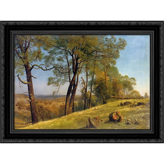 Landscape, Rockland County, California 24x20 Black Ornate Wood Framed Canvas Art by Bierstadt, Albert