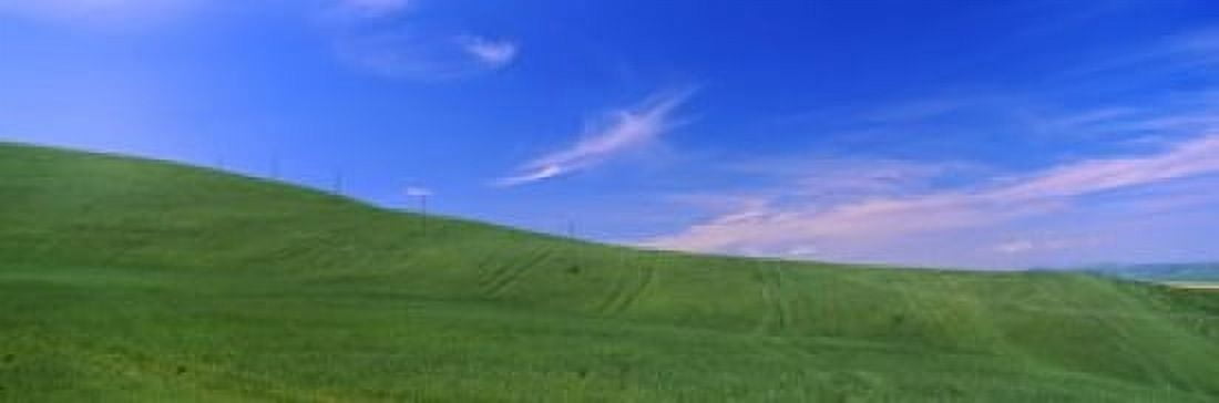 Landscape San Quirico dOrcia Orcia Valley Siena Province Tuscany Italy Canvas Art - Panoramic Images (18 x 6)