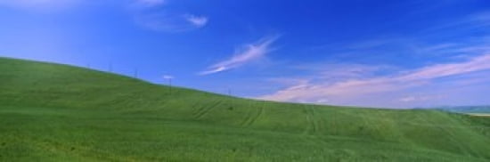 Landscape San Quirico dOrcia Orcia Valley Siena Province Tuscany Italy Canvas Art - Panoramic Images (36 x 12)