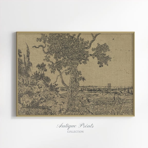 Landscape Sketch Art, Neutral Antique Forest Drawing, Vintage Cottage Textile Art, Botanical Farmhouse Decor,, Stretched Canvas Size 16x24