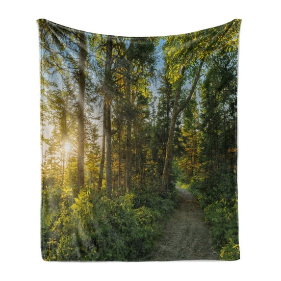 Landscape Soft Flannel Fleece Blanket, National Park in Cape Breton Highlands Canada Forest Path Trees Tranquility Photo, Cozy Plush for Indoor and Outdoor Use, 60" x 80", Blue Green, by Ambesonne