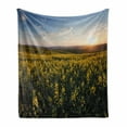 thumbnail image 1 of Landscape Soft Flannel Fleece Blanket, Scenic View Sunset Flower Field Spring Countryside Rural Idyllic Scenery, Cozy Plush for Indoor and Outdoor Use, 70" x 90", Yellow Green Blue, by Ambesonne, 1 of 5