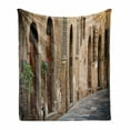 thumbnail image 1 of Landscape Soft Flannel Fleece Blanket, Street Wine Old House in Italy Tuscany Street Floral Details Blurred Background, Cozy Plush for Indoor and Outdoor Use, 50" x 70", Multicolor, by Ambesonne, 1 of 6