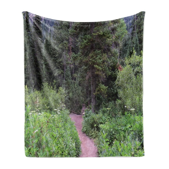 Landscape Soft Flannel Fleece Blanket, Wild Trees Landscape Photography Walkway to Forest Calm Weekend Getaways Scenery, Cozy Plush for Indoor and Outdoor Use, 50" x 70", Multicolor, by Ambesonne