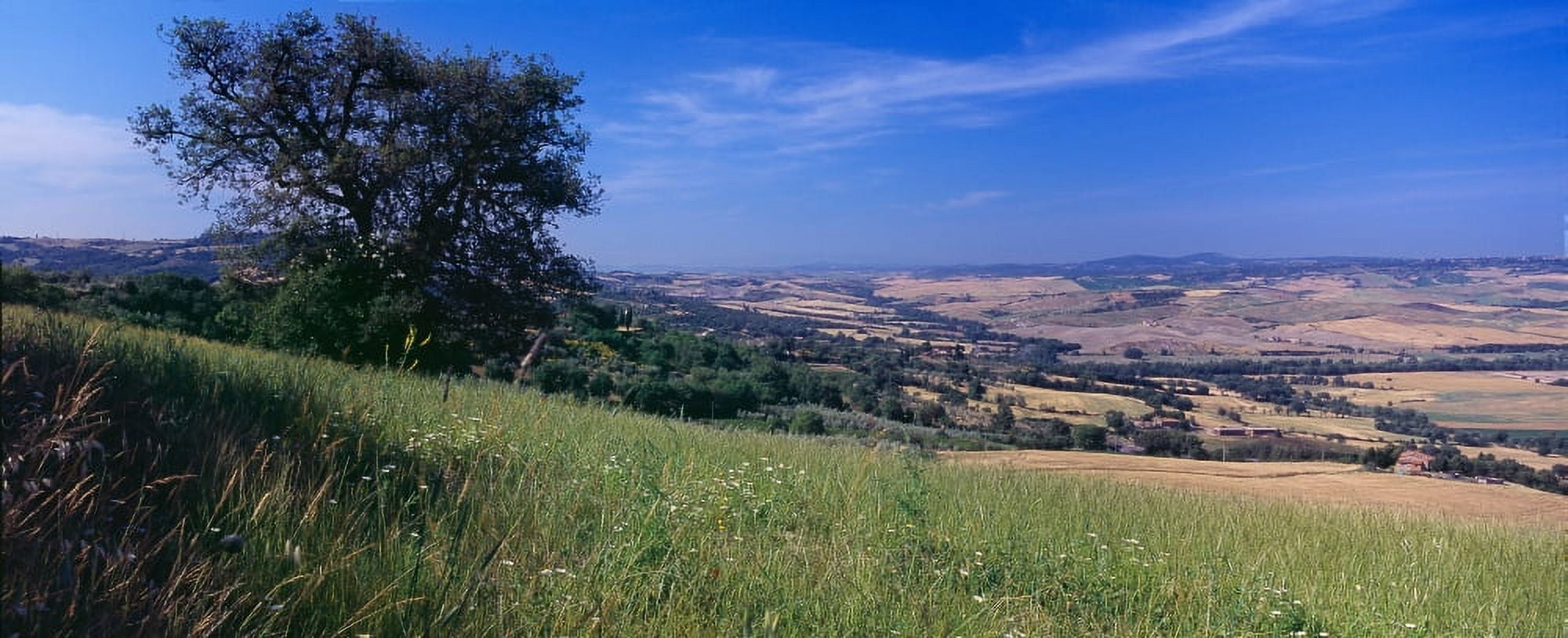Landscape Tuscany Italy Canvas Art - Panoramic Images (27 x 9)