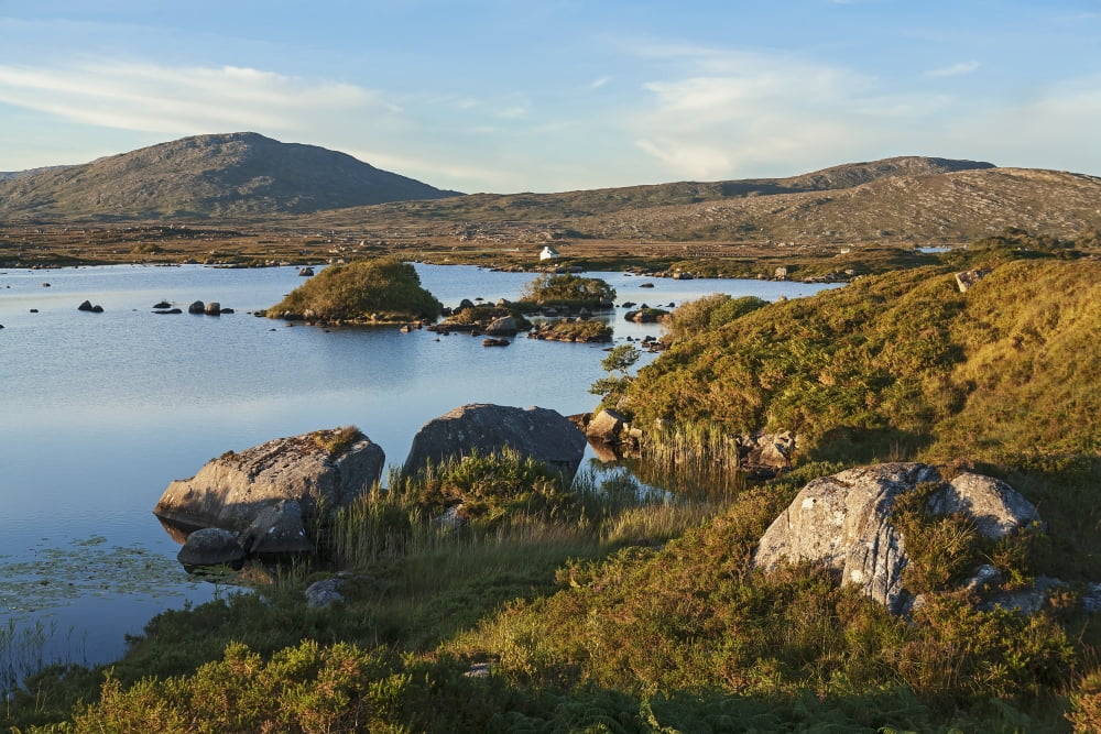 Landscape along the coast Connemara County Galway Ireland Canvas Art - Carl Bruemmer Design Pics (38 x 24)