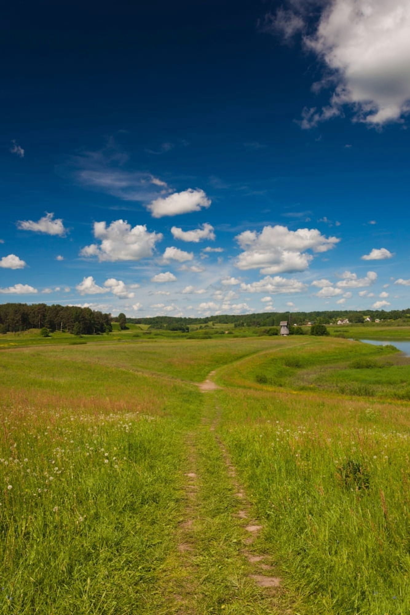 Landscape at Mikhailovskoye Alexander Pushkin Preserve Pushkinskie Gory Pskovskaya Oblast Russia Canvas Art - Panoramic Images (27 x 9)