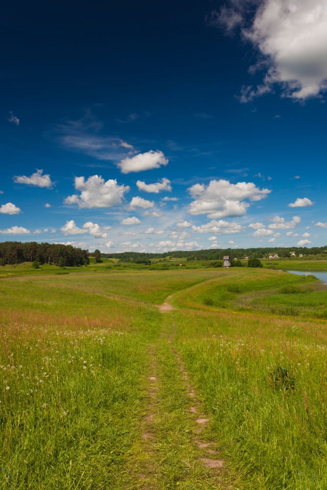 Landscape at Mikhailovskoye Alexander Pushkin Preserve Pushkinskie Gory Pskovskaya Oblast Russia Canvas Art - Panoramic Images (36 x 12)