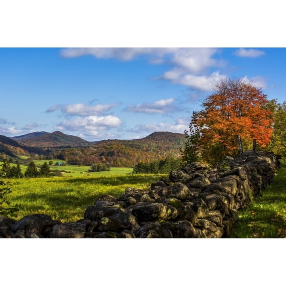 Landscape of autumn coloured forests on the hills and a stone wall across a field in the foreground; Iron Hill, Quebec, Canada by David Chapman / Design Pics (38 x 24)