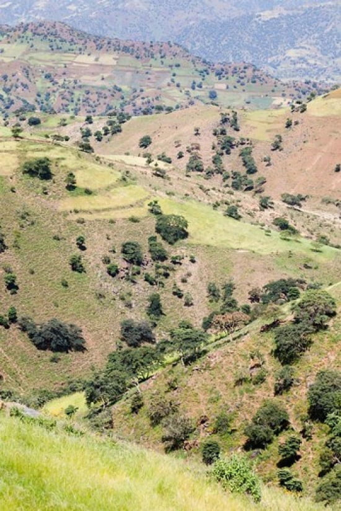 Landscape in Tigray Northern Ethiopia Canvas Art - Martin Zwick DanitaDelimont (25 x 38)