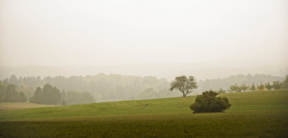 Landscape in the fog Swabian Alps Burladingen Baden-Wurttemberg Germany Canvas Art - Panoramic Images (19 x 9)
