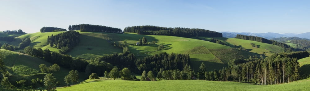 Landscape near St Maergen Black Forest Germany Canvas Art - Carl Bruemmer Design Pics (36 x 11)