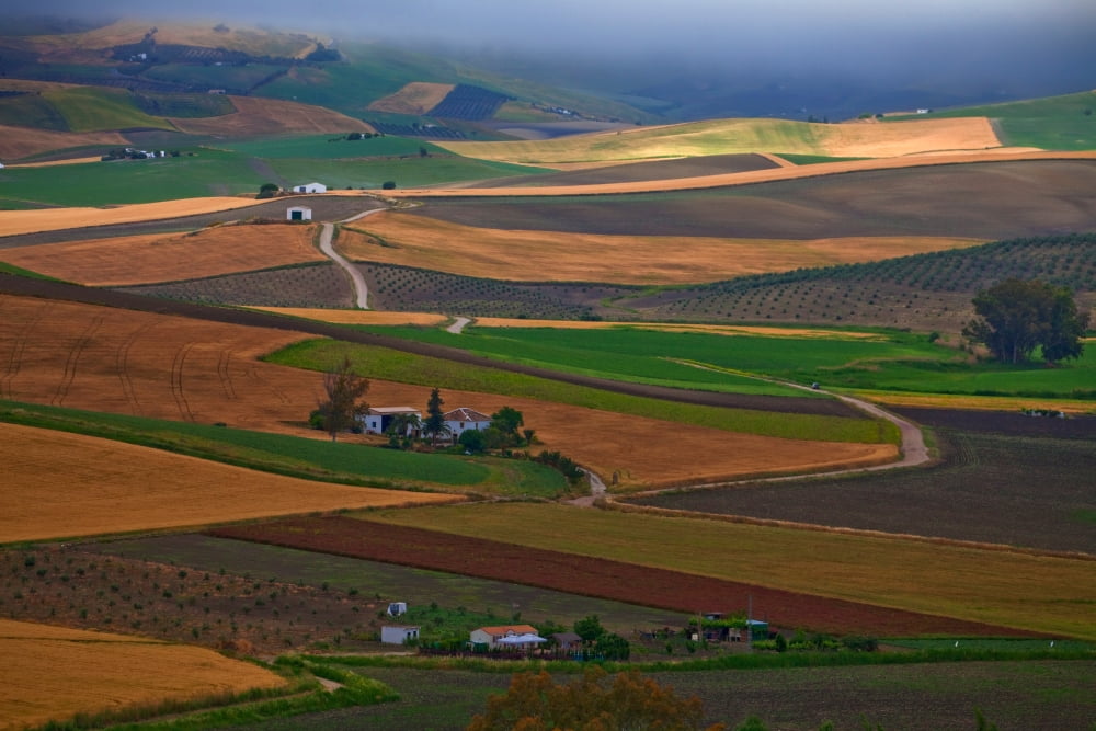 Landscape near Torre Alhaquime Cadiz Province Andalusia southern Spain Canvas Art - Panoramic Images (27 x 9)