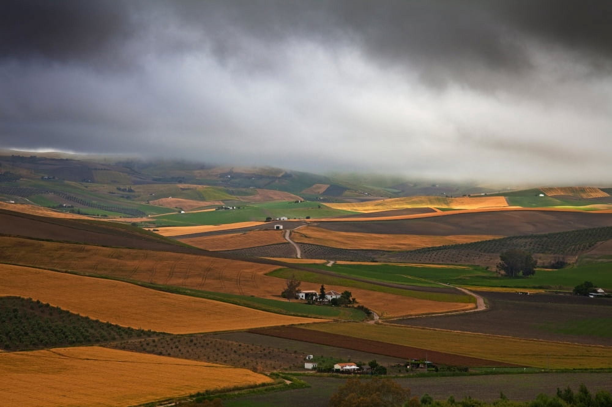 Landscape near Torre Alhaquime Cadiz Province Andalusia southern Spain Canvas Art - Panoramic Images (27 x 9)