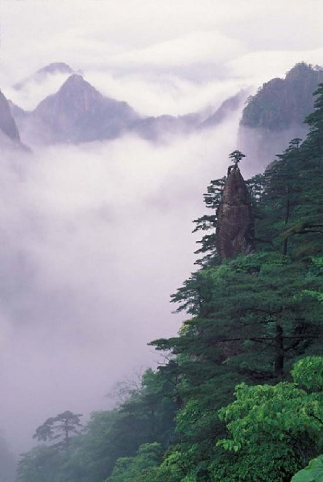 Landscape of Mt Huangshan in Mist China Canvas Art - Keren Su DanitaDelimont (24 x 36)